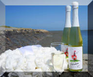 die beste Musik für jeden Musik für jeden Analss mit DJ Tiwi